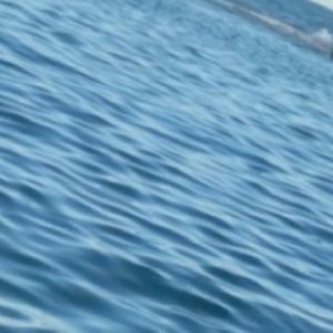 Meet your Posher, Jess